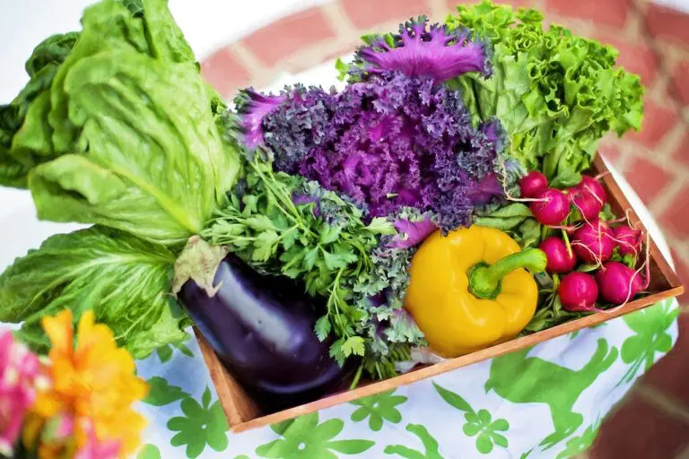 Salute, gli italiani non fanno prevenzione a tavola con frutta e verdura